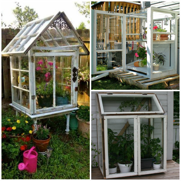 Collage of three greenhouses made from recycled windows
